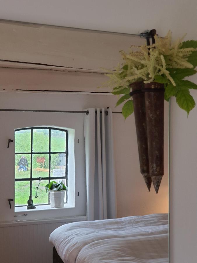 توميليلا 4B Oesterlen Bed & Breakfast المظهر الخارجي الصورة